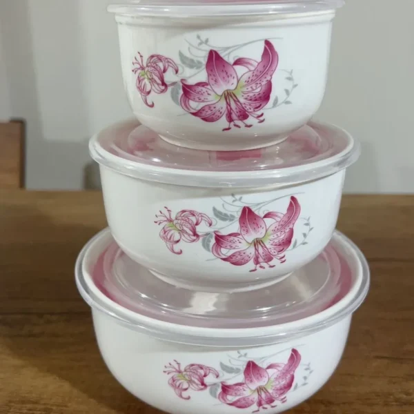 juego de tapetes de porcelana con tapa