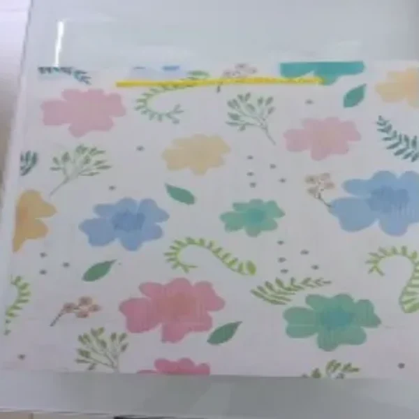 bolsa de regalo medidas 
 23*27*8.0CM